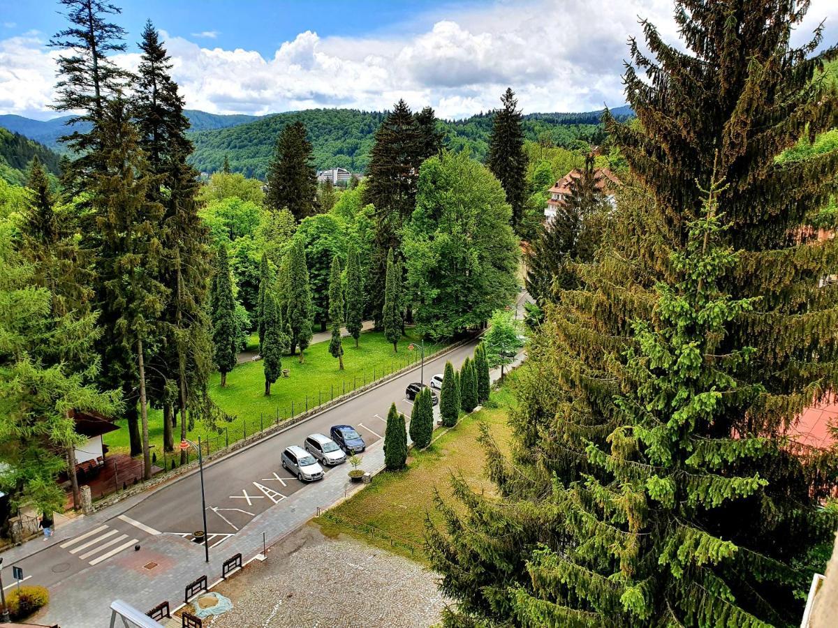 Laura Apartments Sinaia Exterior photo