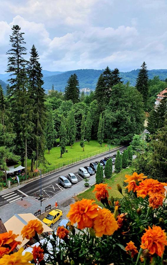 Laura Apartments Sinaia Exterior photo